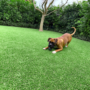 Yard Artificial Grass Pets and Safety Concerns