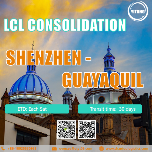 LCL International Shipping Sea Freight Serphing ShenzhenからGuayquilへ