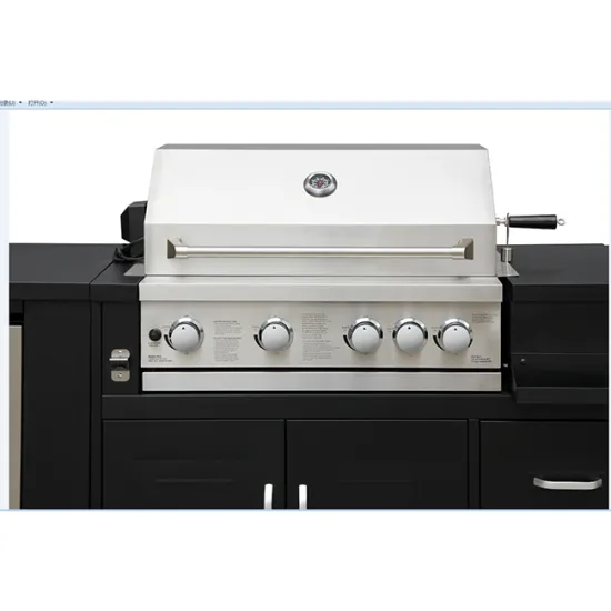 Portable Gas BBQ Grill Multi-fuel Use BBQ grill  for home