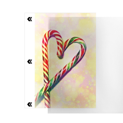 Mobile Phone Back Wrap Sticker PVC Back Protector