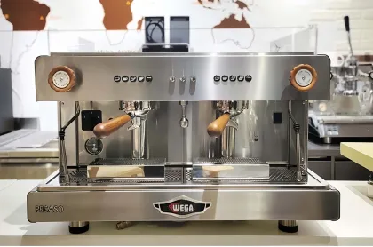 Wega Pegaso Picasso Double Head E61 Italian Semi-automatic Espresso Machine