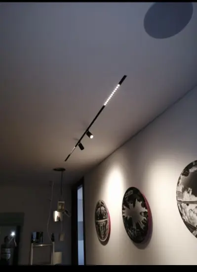 adjustable spot dimmable track light art gallery