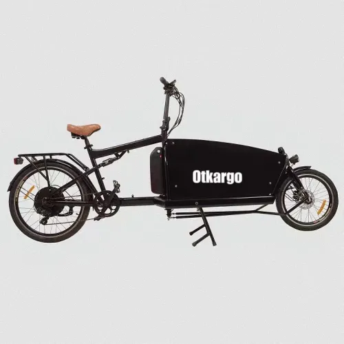 B2eBike City Cargo