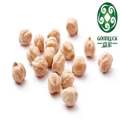 Wholesale China chickpeas of good quality (2013 crop)