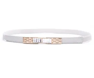 elastic belt