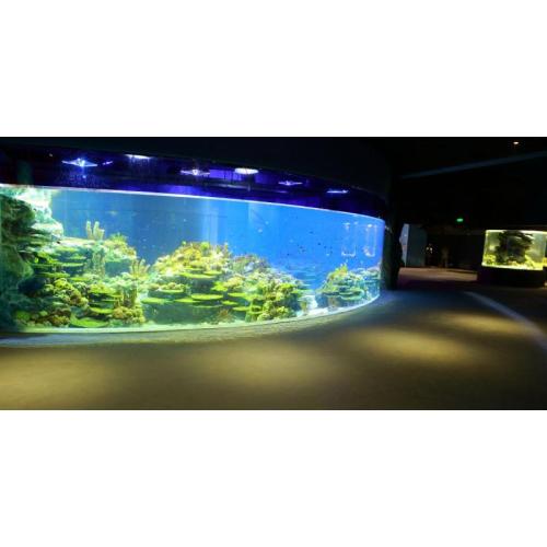 Acrylglasfischtank Acrylaquarien für Restaurant