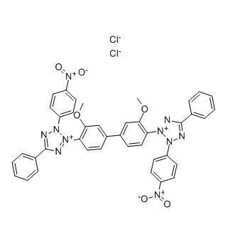 高純度ニトロ ブルー テトラゾリウム塩化 CA 298-83-9