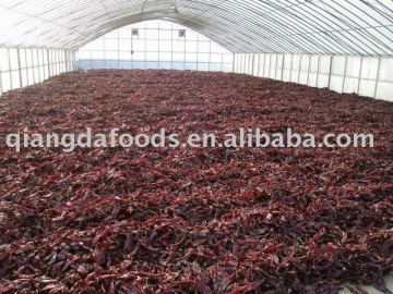 Sterilization Paprika pods
