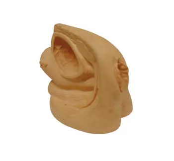 XC-332C Advanced Model: Detailed Simulation of Female Internal and External Genital Organs