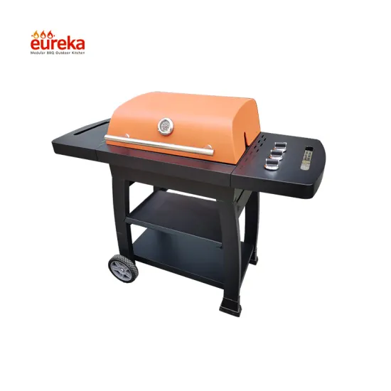 Stainless Steel Outdoor Kitchen Gas Grill Barbecue Grills