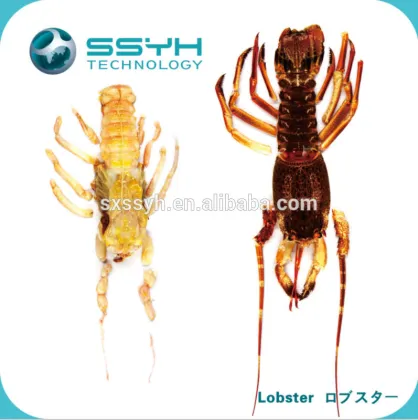 High Pressure Processing Non-thermal Shellfish Shucking Machine