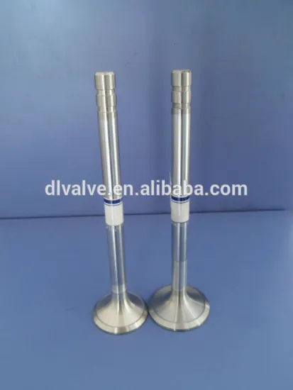 engine valve for Ford (928M6507E2A&948M6505A2A)