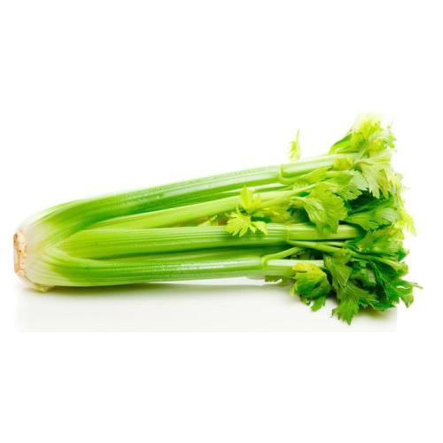Natural Celery Seed Extract