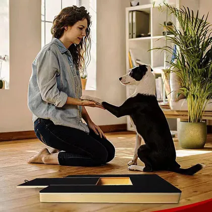 Square Dog Nails Cat Scratch Board Pad