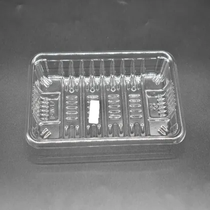 Disposable Custom Made Plastic Box for Fresh Food