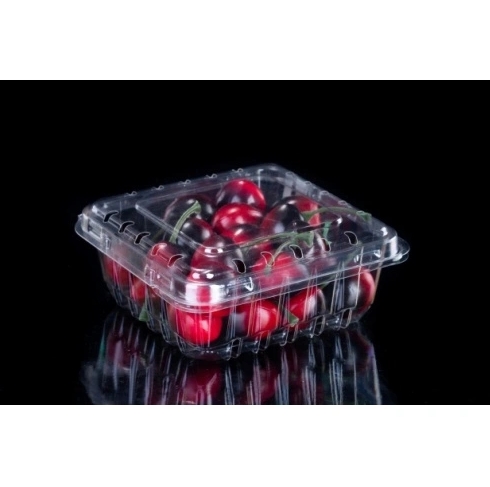 Low-profile Clamshell Ventilated Fruit Container Low-profile Clamshell Ventilated Fruit Container