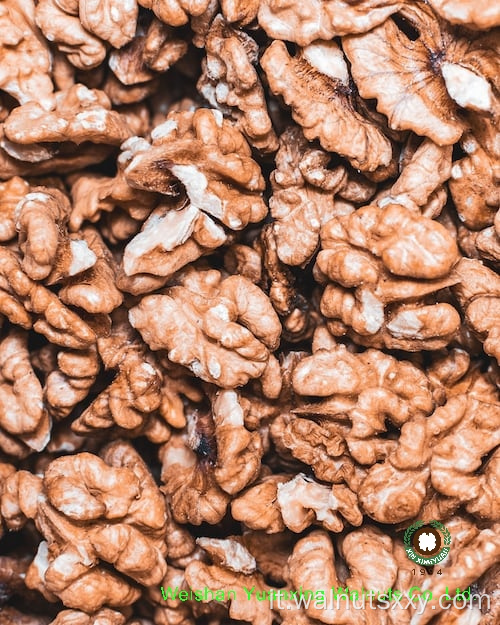 Kernel di noci cinesi dolci e croccanti leggeri ambra