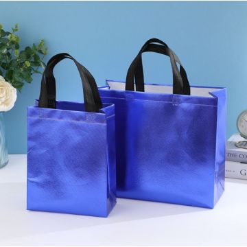 Pp Laminated Non Woven Shopping Grocery Bag