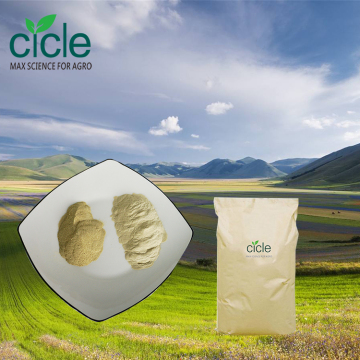 Amino acid powder 80 Enzymatic hydrolysis