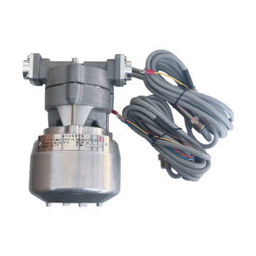 Fuel Dispenser NP Inverter Electronic Pump Overview