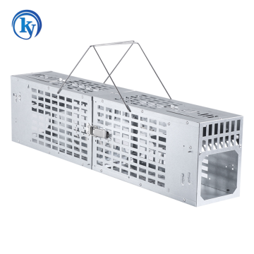 Most popular rat and mouse glue traps