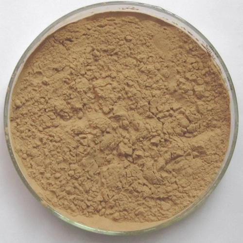 High Quality White Dried Pleurotus ostreatus extract powder