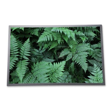 Modulo schermo TFT LCD per laptop Game - 17,0 pollici 1280*1200