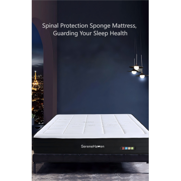 Materasso per il letto di spugna per tutte le stagioni