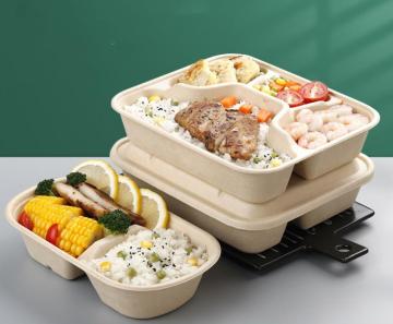 Caja de almuerzo de pulpa de caña de azúcar 100% compostable