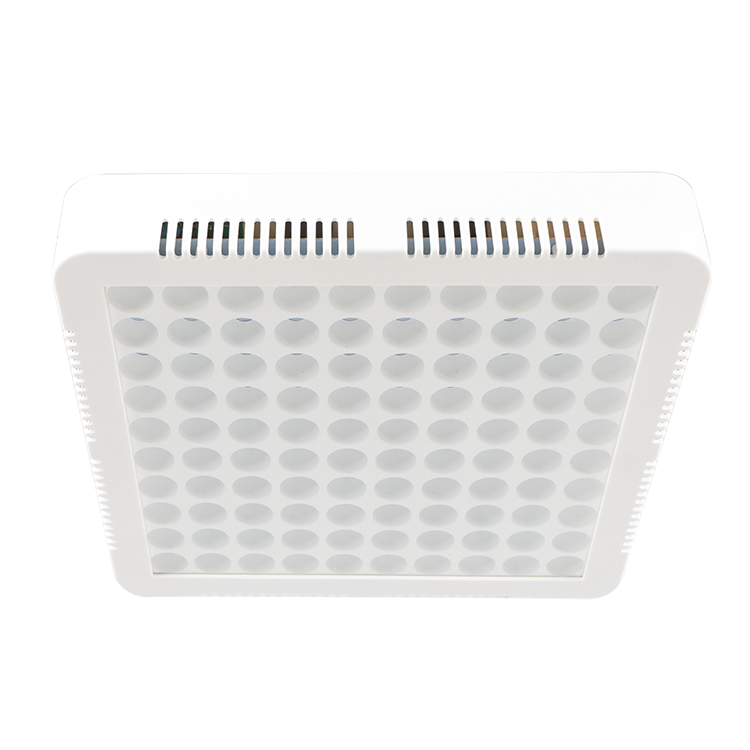 Greenhouse Grow Lights