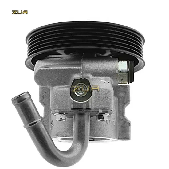 Hydraulic Steering Pump for Chevrolet Aveo/Kalos 1.4L