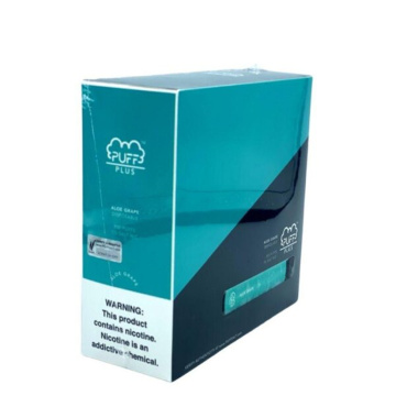 Disposable Electronic Cigarette OEM/ODM 800 Puffs Apple Ice