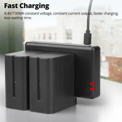 DBLL M+C LCD Dual USB Battery Charger Kit for Sony FW50