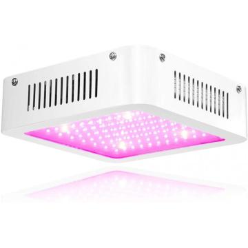 The led grow lights for amazon