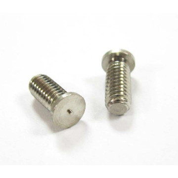 Stainless Steel Screw