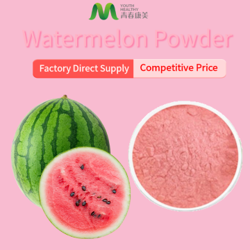 Getrocknetes Wassermelonsaftpulver
