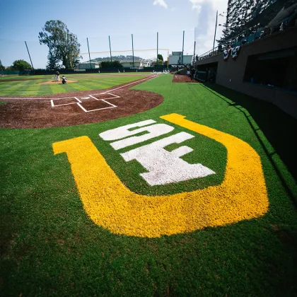 Customizable Baseball Field Artificial Grass