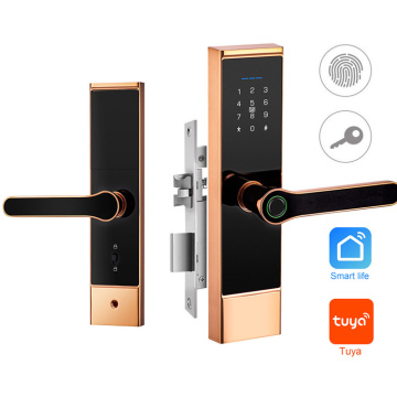 App Smart Digital Digital Door Lock Digital APP APP TUYA con scheda RFID e protezione da password