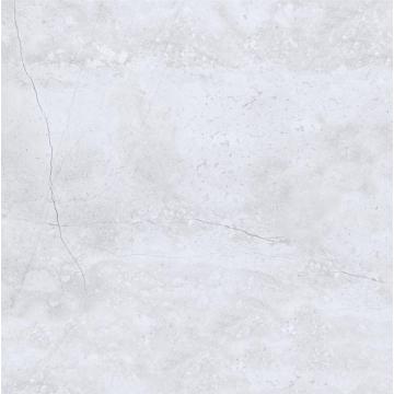 Cement Look 60 * 60 Rustic Matt Porcelain tiles