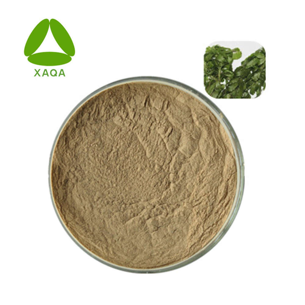 Extracto de huperzine Huperzine A 1% Powder 102518-79-6