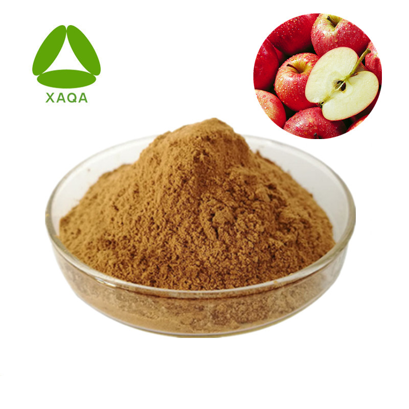 Apple Extract Apple Peel Extract Polyphenols 98%