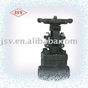 ANSI Flange Ends Gate Valve with Forged Stainless Steel