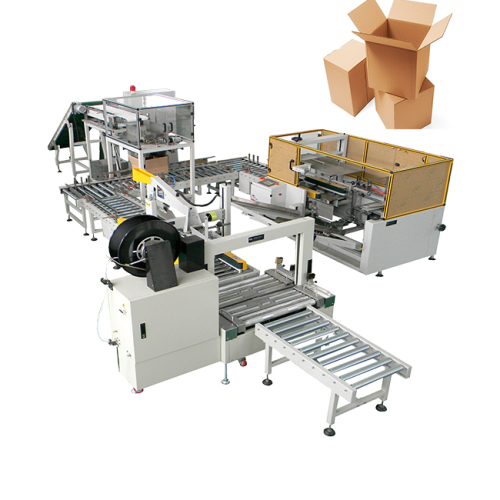 Low Price Case Packing Machinery