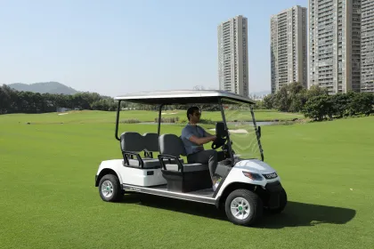 LVTONG 48V 2-Seater Electric Golf Cart