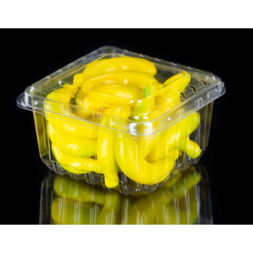 Food Grade Plastic Fruit Packaging Box