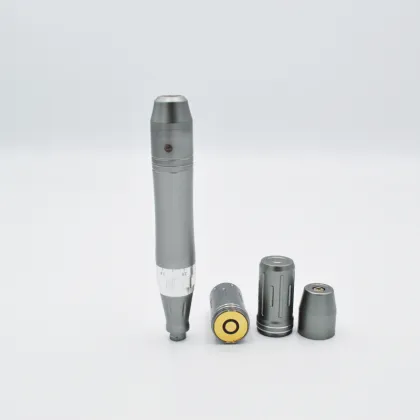 Profession Medical Use Auto Micro Needle Derma Device
