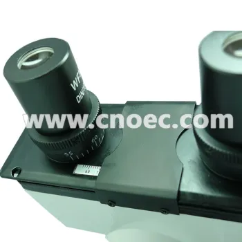 Portable Cordless Biological Microscope 1000x For School / Home A11.1123