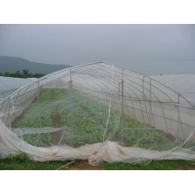 greenhouse plastic insect screen