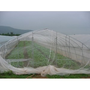 greenhouse plastic insect screen