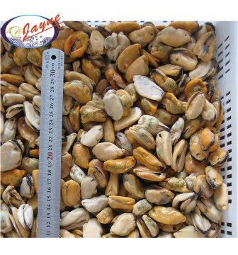 Frozen Half Mussels Blue Mussel Shells With Meat High Quality